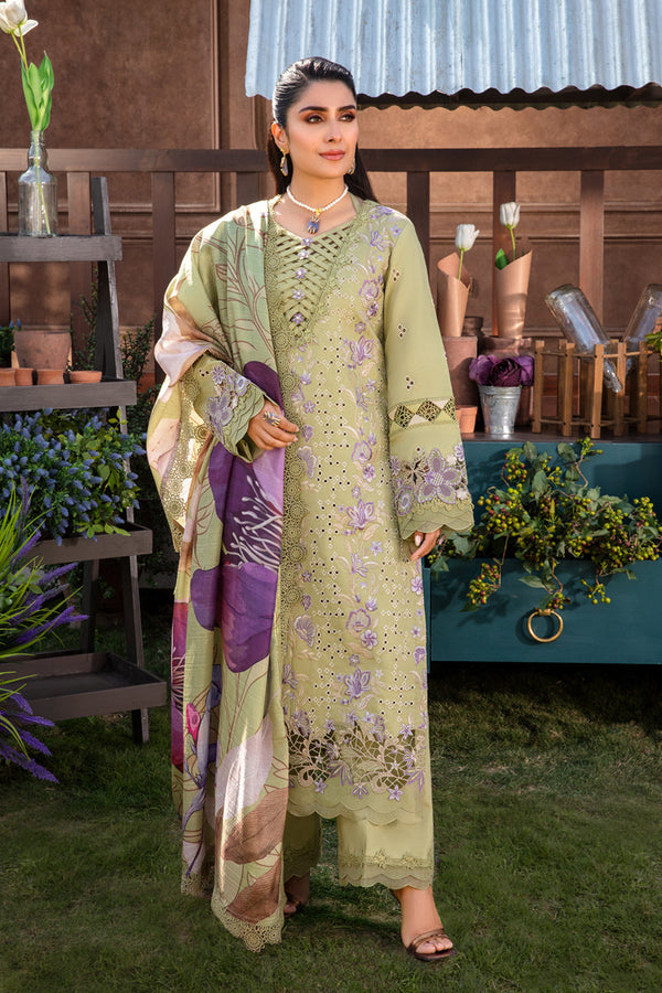 Rangrasiya | Premium Collection 24 | AYSEL - Waniyas