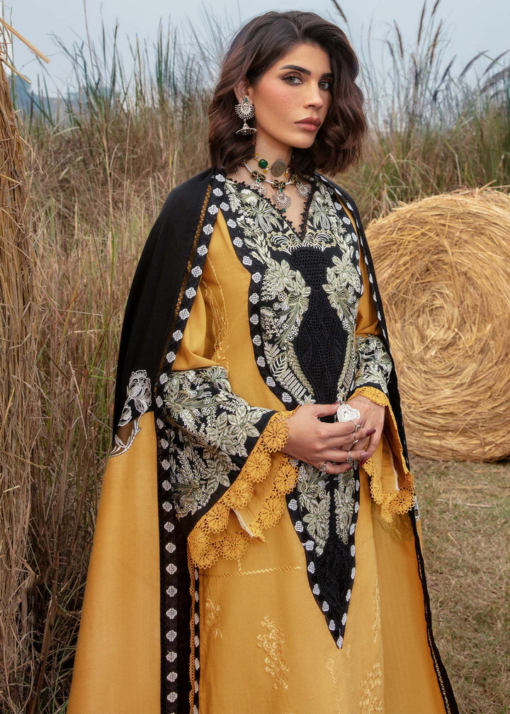 Saira Shakira | Raya Winter Stitched 23 | Amber - Waniyas