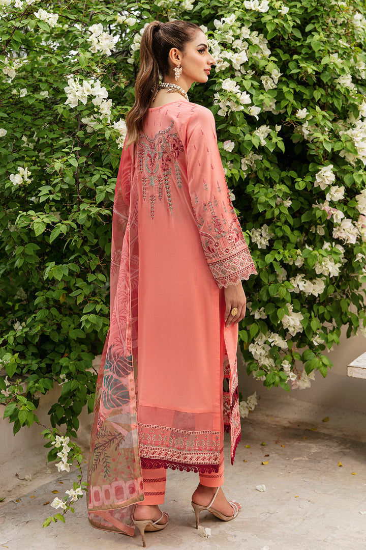 Ramsha | Luxury Lawn 24 | Y-807 - Waniyas