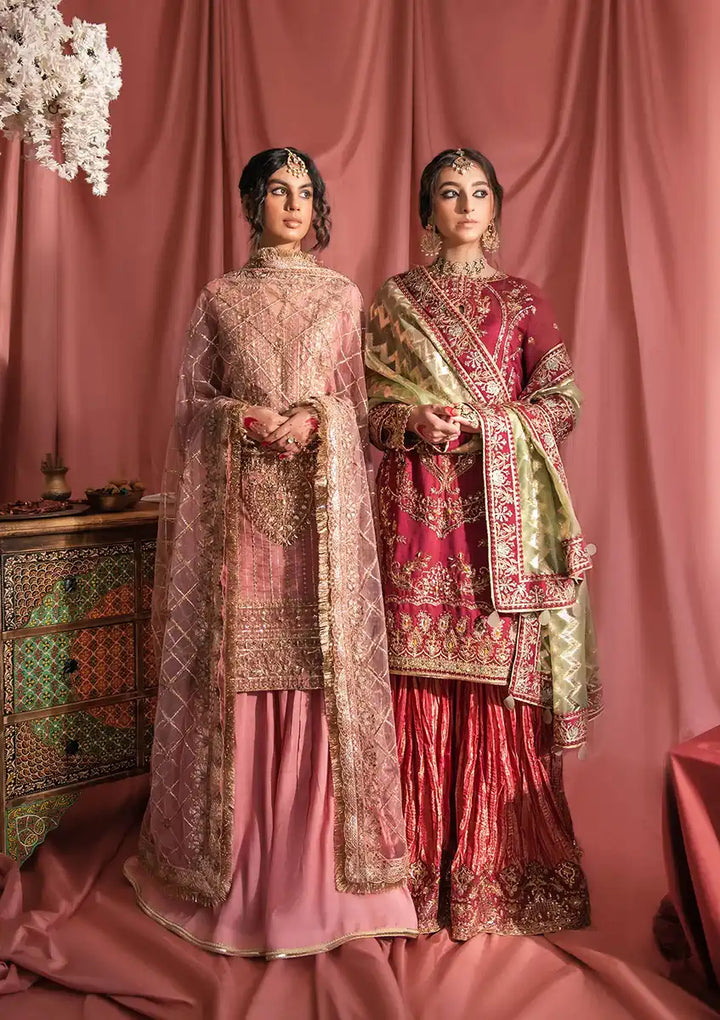 Aik Atelier | Wedding Festive 23 | LOOK 02 - Waniyas