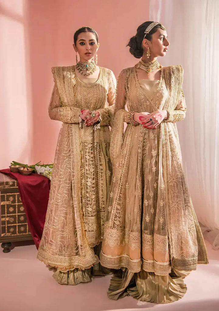 Aik Atelier | Wedding Festive 23 | LOOK 03 - Waniyas