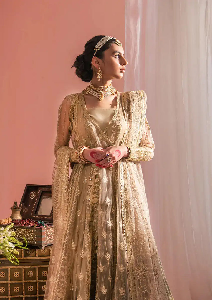 Aik Atelier | Wedding Festive 23 | LOOK 03 - Waniyas