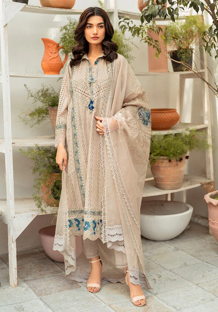 Zarqash | Belle Ame 24 | BL 010 Gris - Waniyas