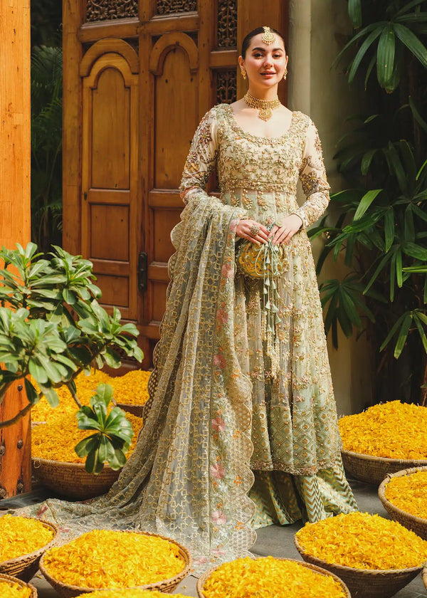 Saira Shakira | Wedding Collection 24 | Taupe - Waniyas