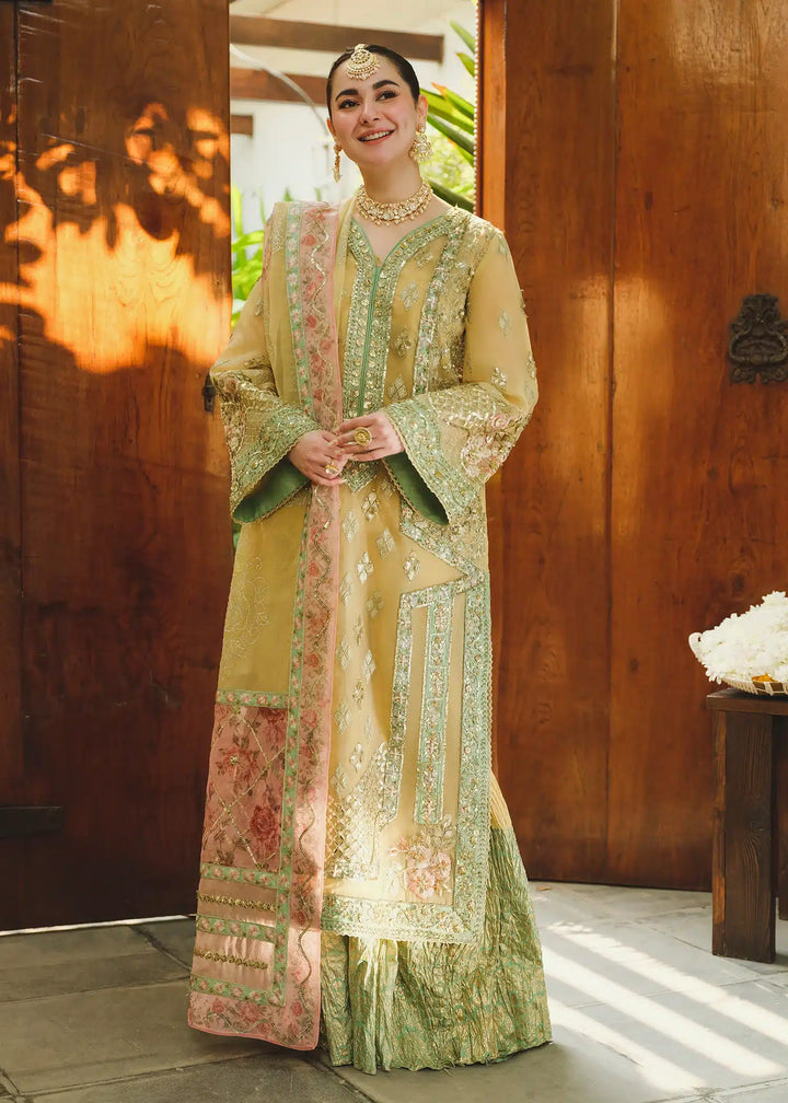 Saira Shakira | Wedding Collection 24 | TNI - Waniyas