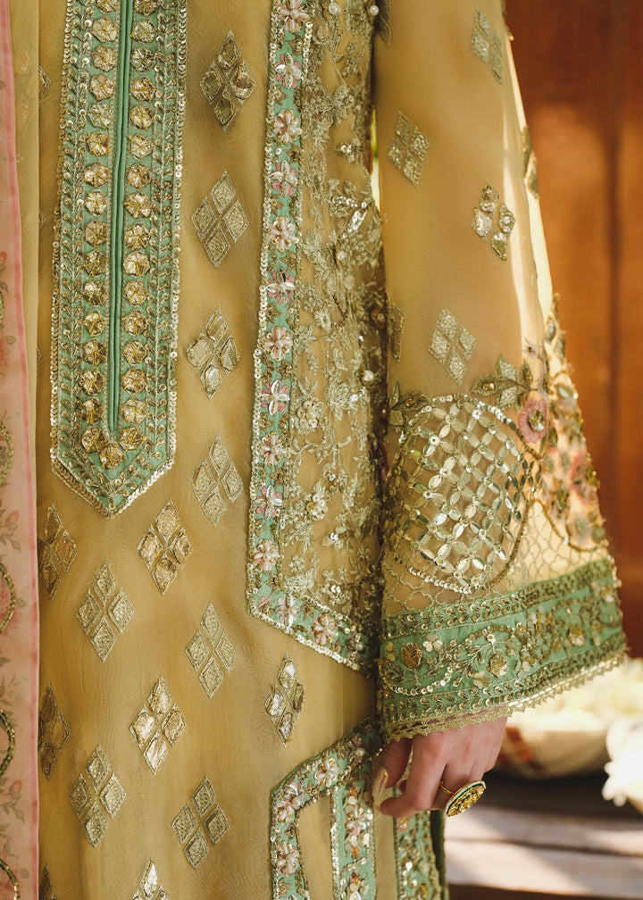 Saira Shakira | Wedding Collection 24 | TNI - Waniyas