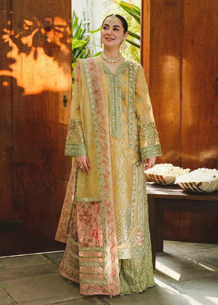 Saira Shakira | Wedding Collection 24 | TNI - Waniyas