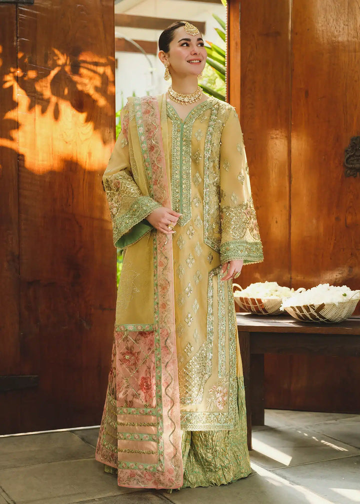 Saira Shakira | Wedding Collection 24 | TNI - Waniyas