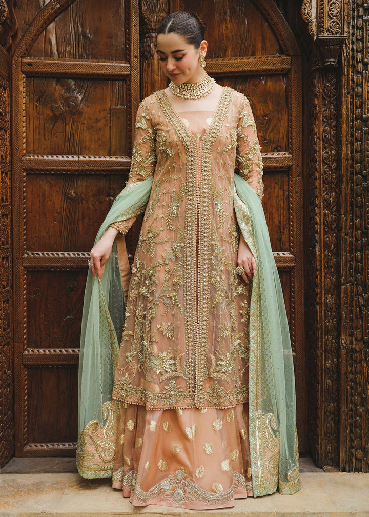 Saira Shakira | Wedding Collection 24 | Sienna - Waniyas