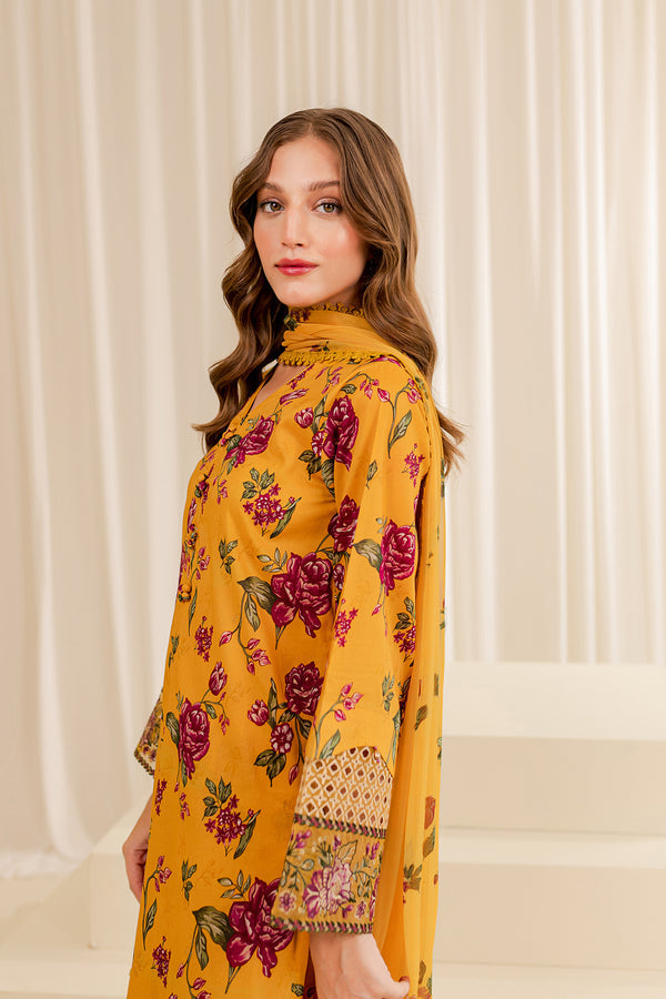 Farasha | Printed Essentials | SUMMER SORBET - Waniyas