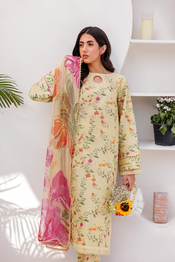 Farasha | Printed Essentials | PASTEL GLEAM - Waniyas