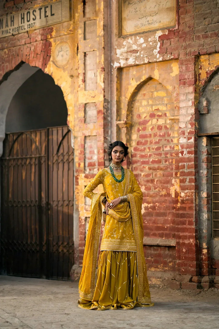 Erum Khan | Mannat Formals | Aatish - Waniyas