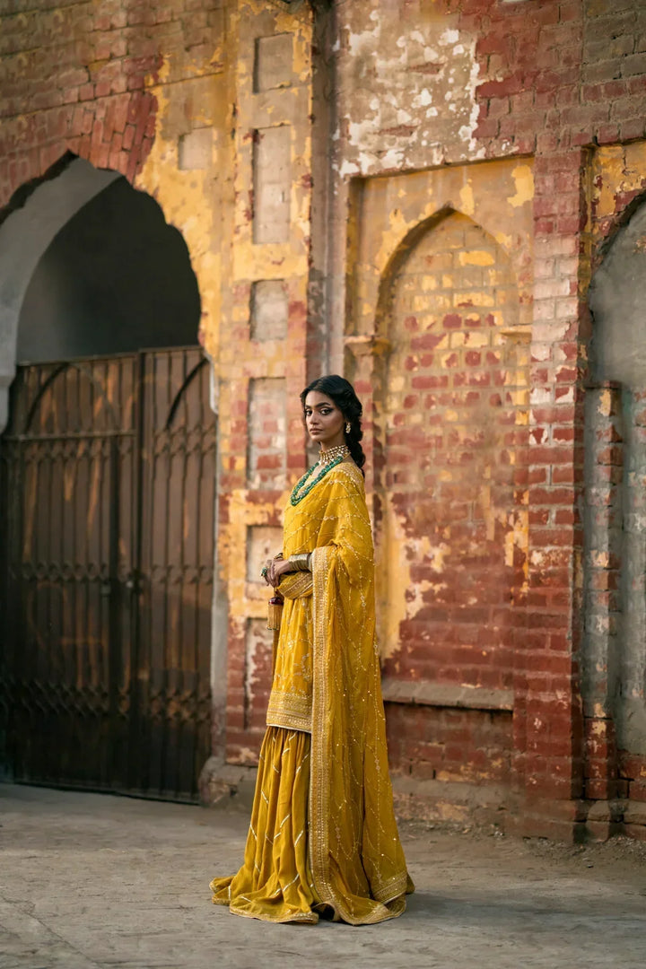 Erum Khan | Mannat Formals | Aatish - Waniyas