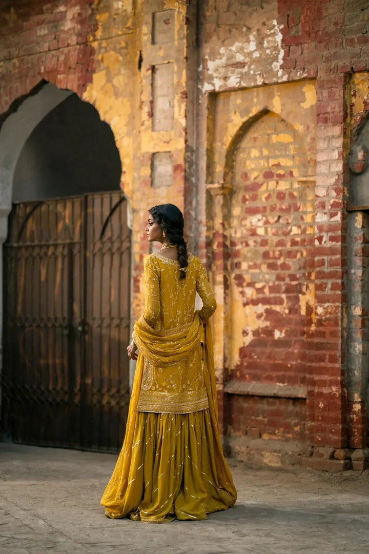 Erum Khan | Mannat Formals | Aatish - Waniyas