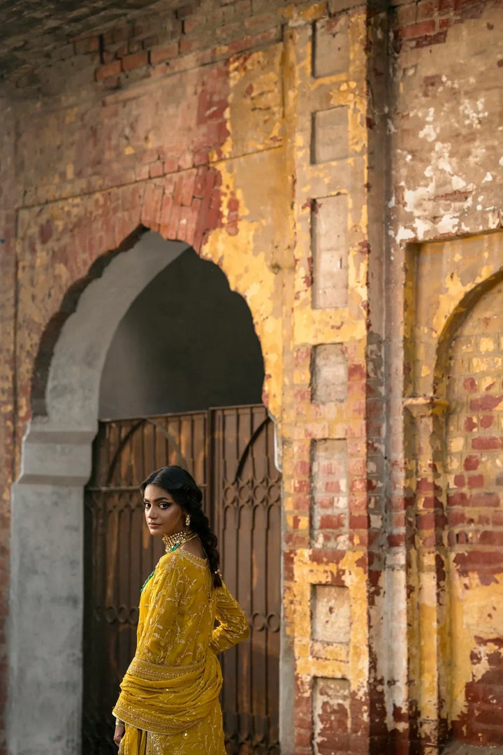 Erum Khan | Mannat Formals | Aatish - Waniyas