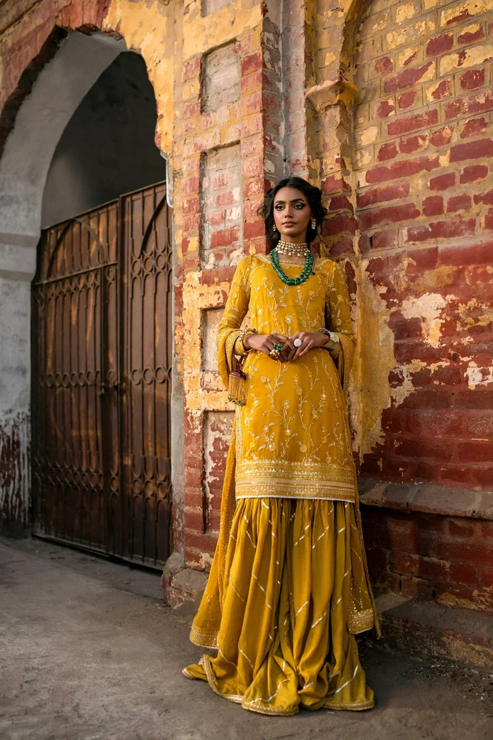 Erum Khan | Mannat Formals | Aatish - Waniyas