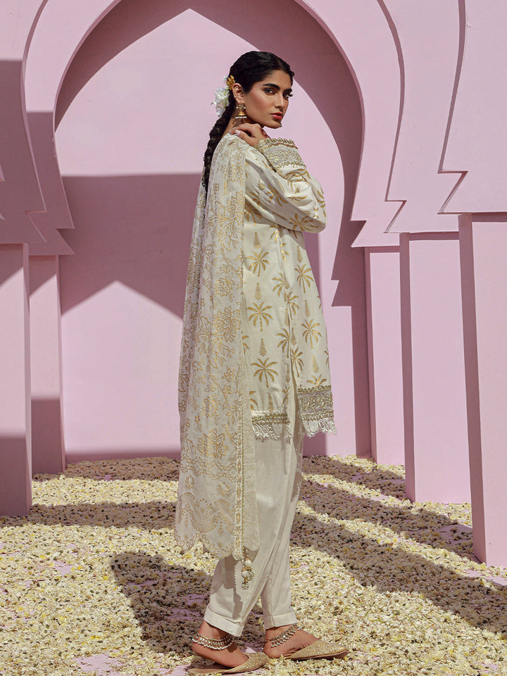 Salitex | Eid Edition | D34 - Waniyas