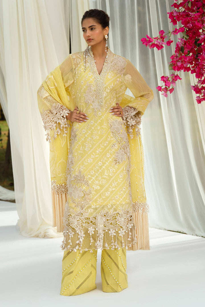 Sana Safinaz | Luxury Collection 24 | L241-010A-3CV - Waniyas