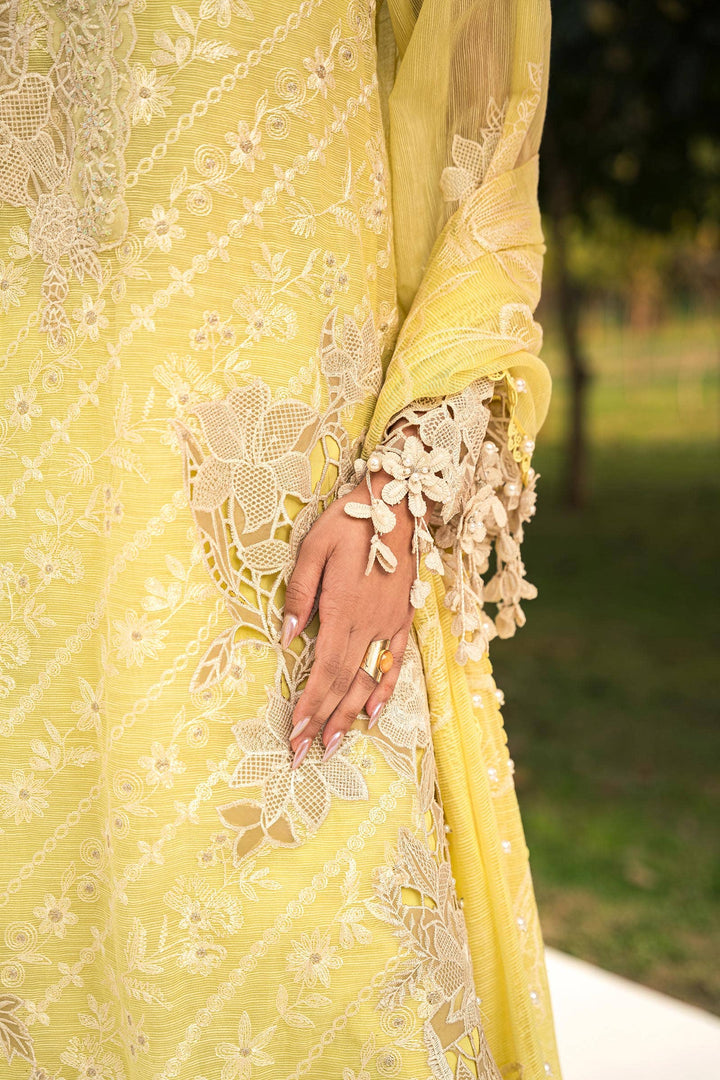 Sana Safinaz | Luxury Collection 24 | L241-010A-3CV - Waniyas