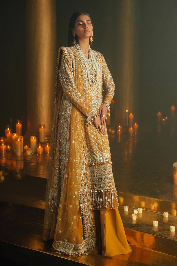 Sana Safinaz | Luxury Collection 24 | L241-002B-3CT - Waniyas