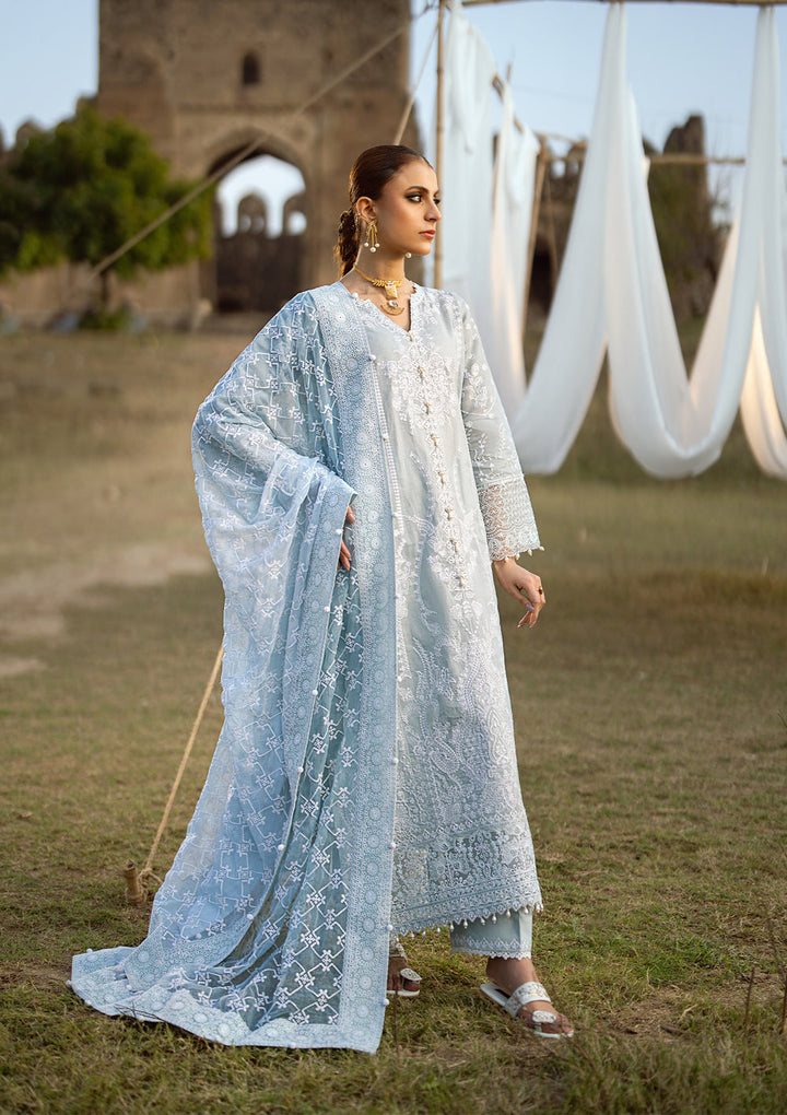 Aik Atelier | Pardes Lawn 24 | LOOK 05 - Waniyas