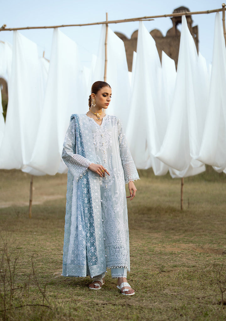 Aik Atelier | Pardes Lawn 24 | LOOK 05 - Waniyas