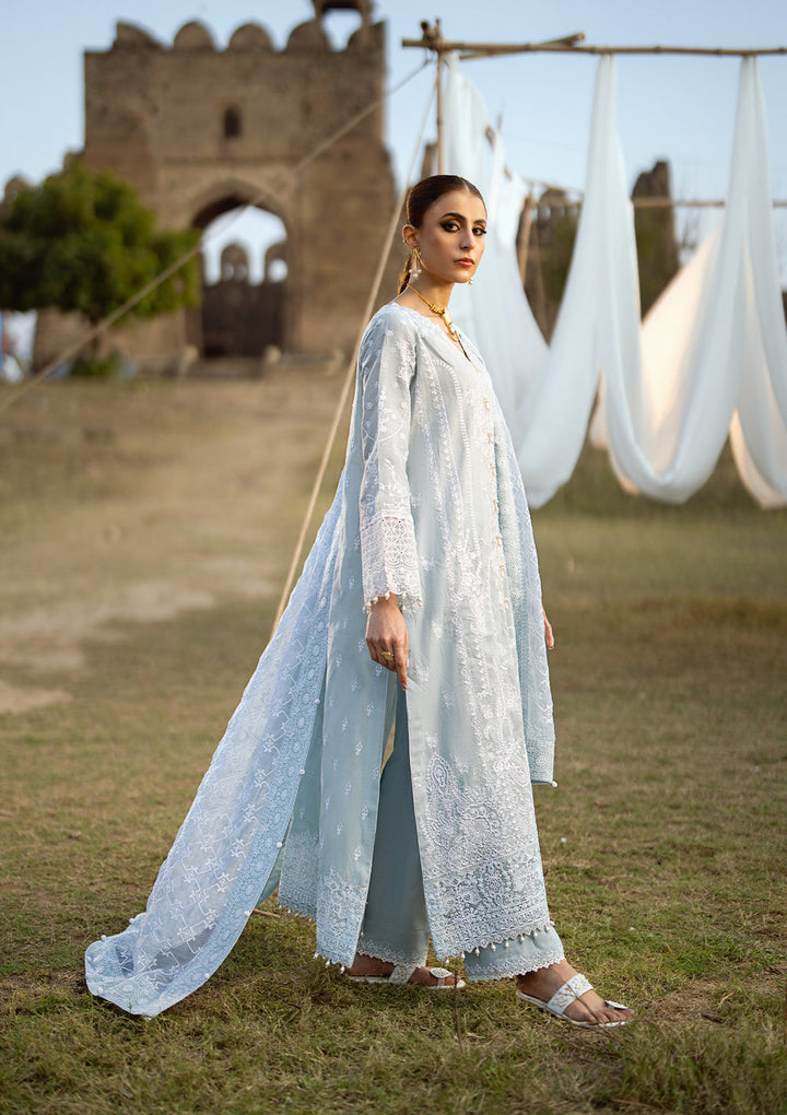 Aik Atelier | Pardes Lawn 24 | LOOK 05 - Waniyas