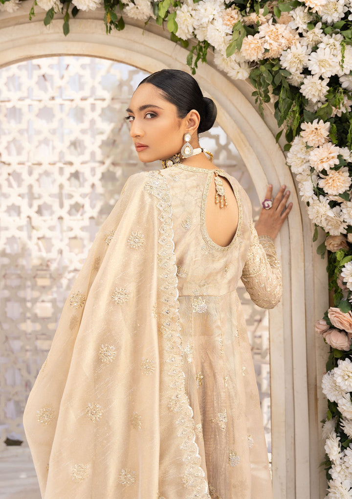 Aik Atelier | Formals Vol-1 24 | LOOK 06 - Waniyas