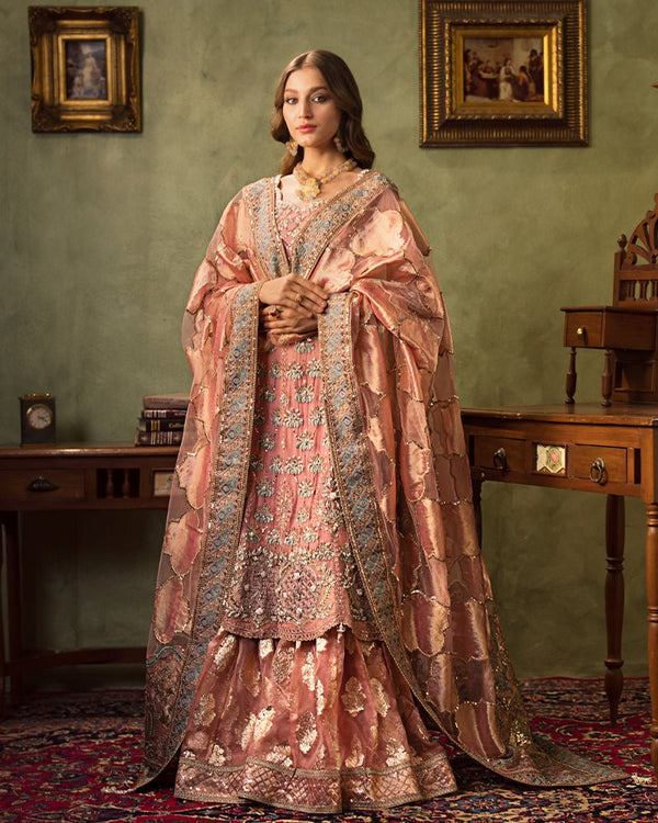 Ain | Aroosh Luxury Formals 24 | AR-96 ARZU (Pink)