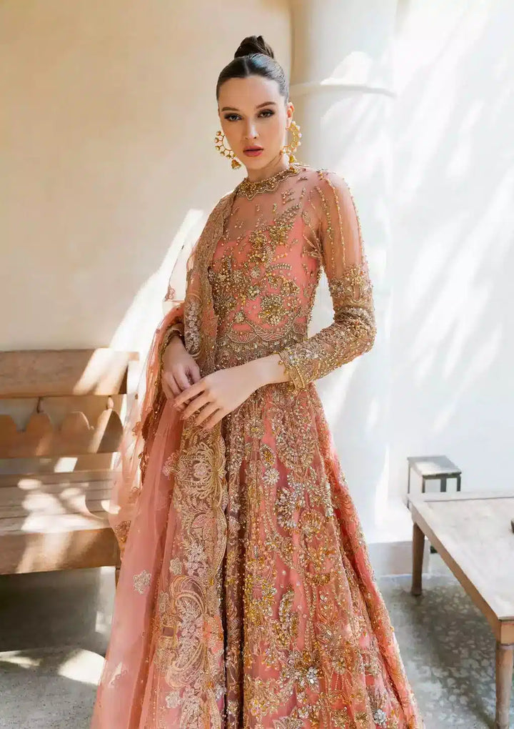 Elaf Premium | Evara Wedding Formals 23 | EEW-03 LAYLA - Waniyas