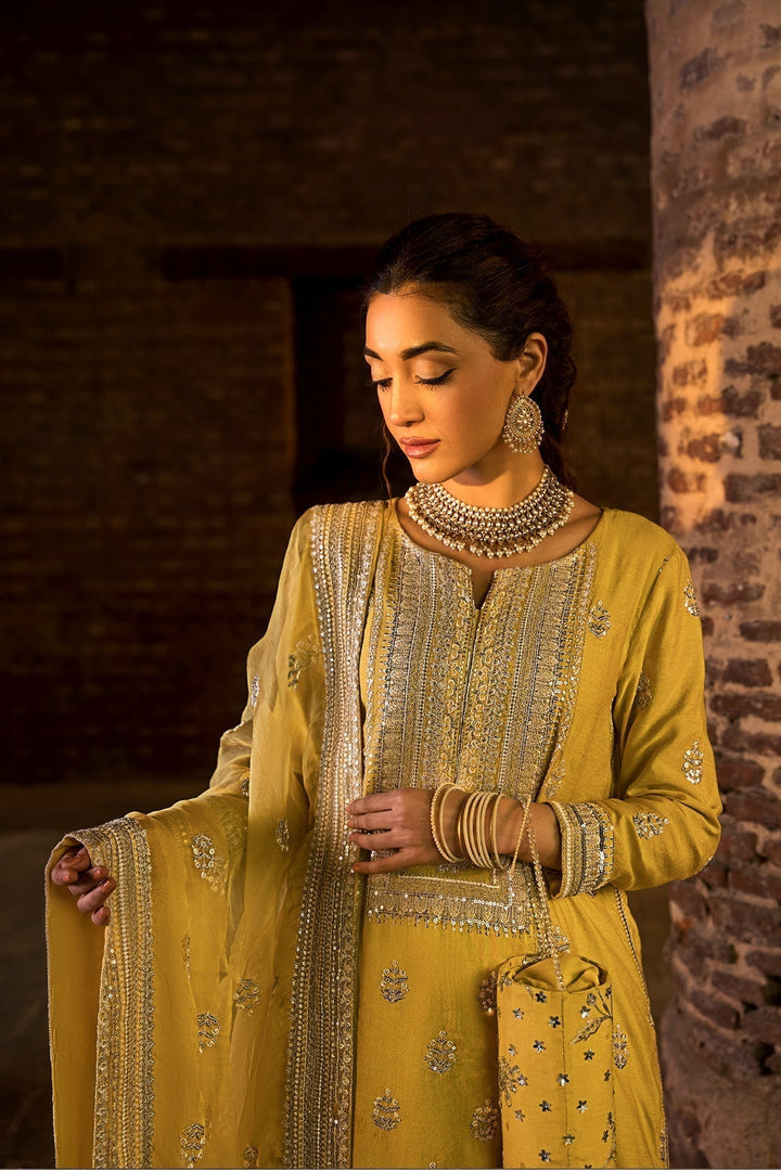 Erum Khan | Shezadian Luxe Formals | DIL ARAA - Waniyas