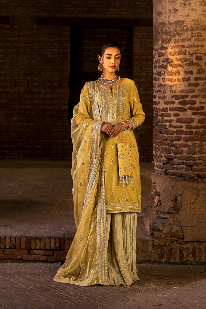 Erum Khan | Shezadian Luxe Formals | DIL ARAA - Waniyas