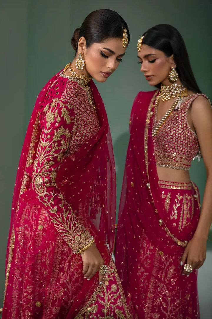 Sana Safinaz | Nura Festive 2023 | N233-004-CT - Waniyas