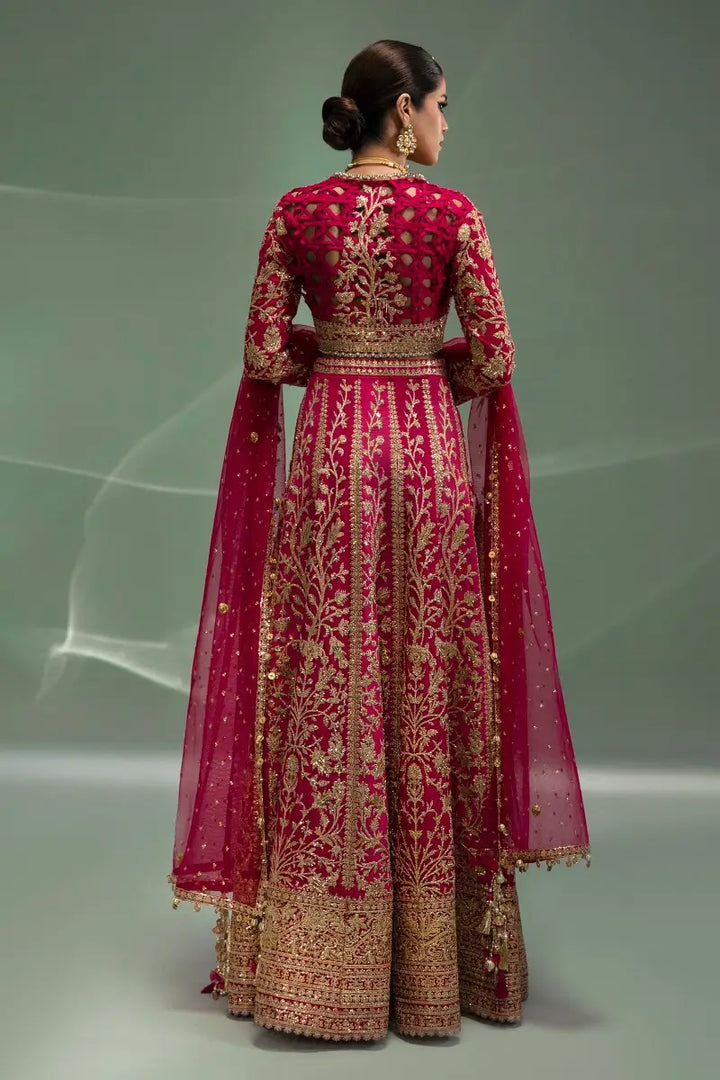 Sana Safinaz | Nura Festive 2023 | N233-004-CT - Waniyas