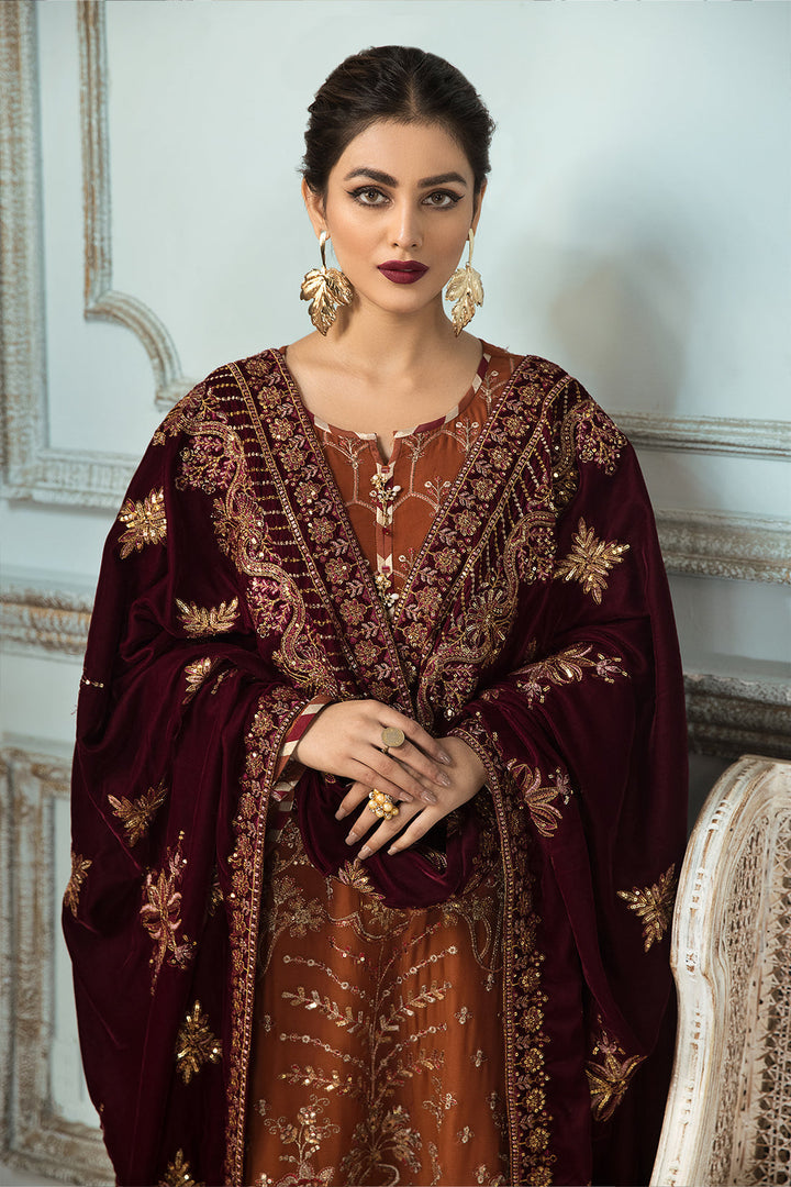 Alizeh | Formals Collection | Sarang - Waniyas