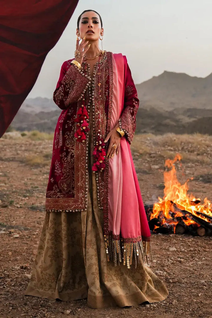 Sana Safinaz | Winter Luxury 23 | V231-004-DE - Waniyas